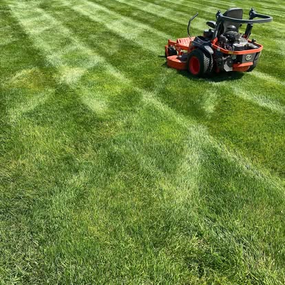 Professional lawn care service