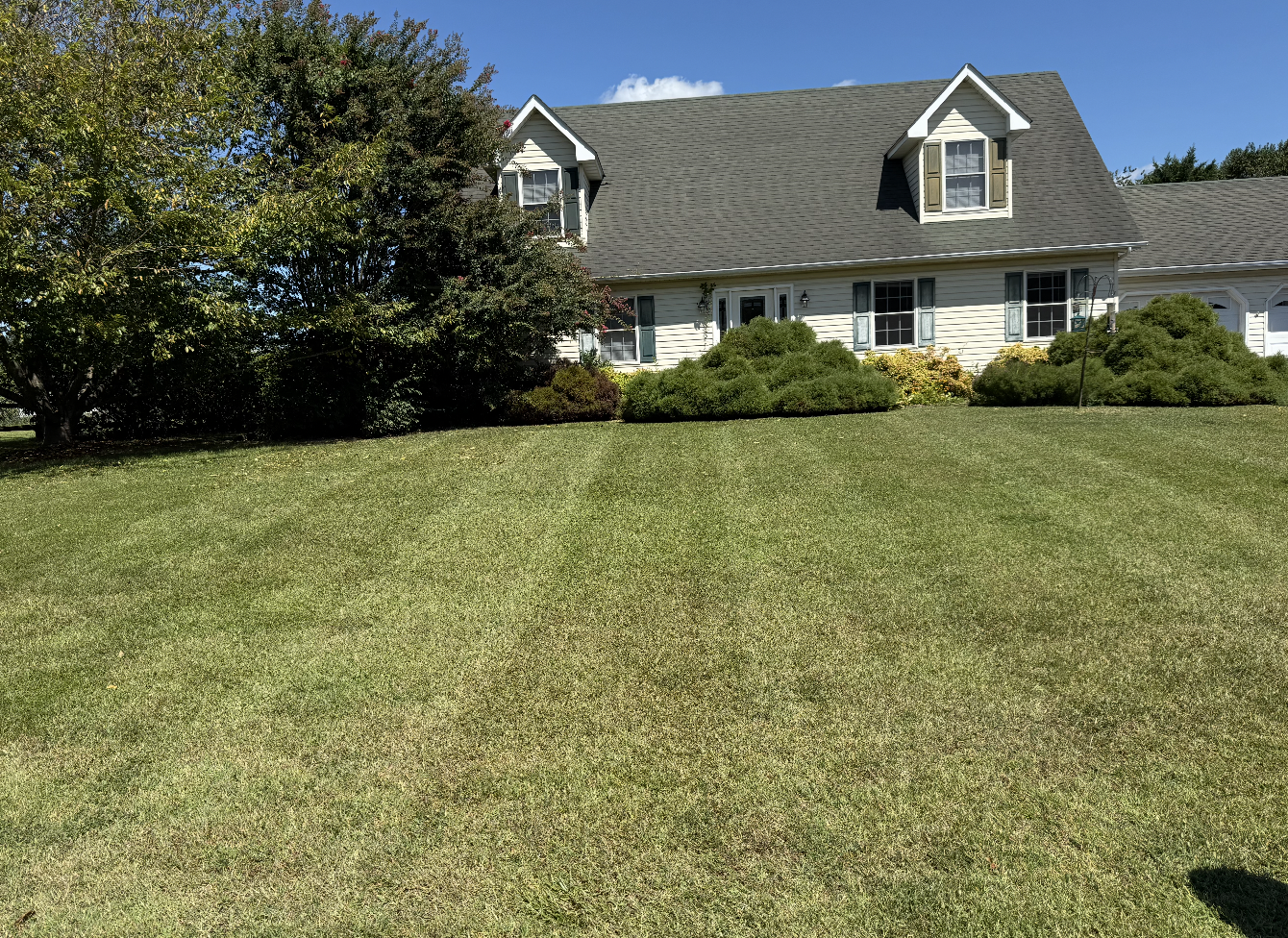 Residential lawn care and landscaping service in Dover DE