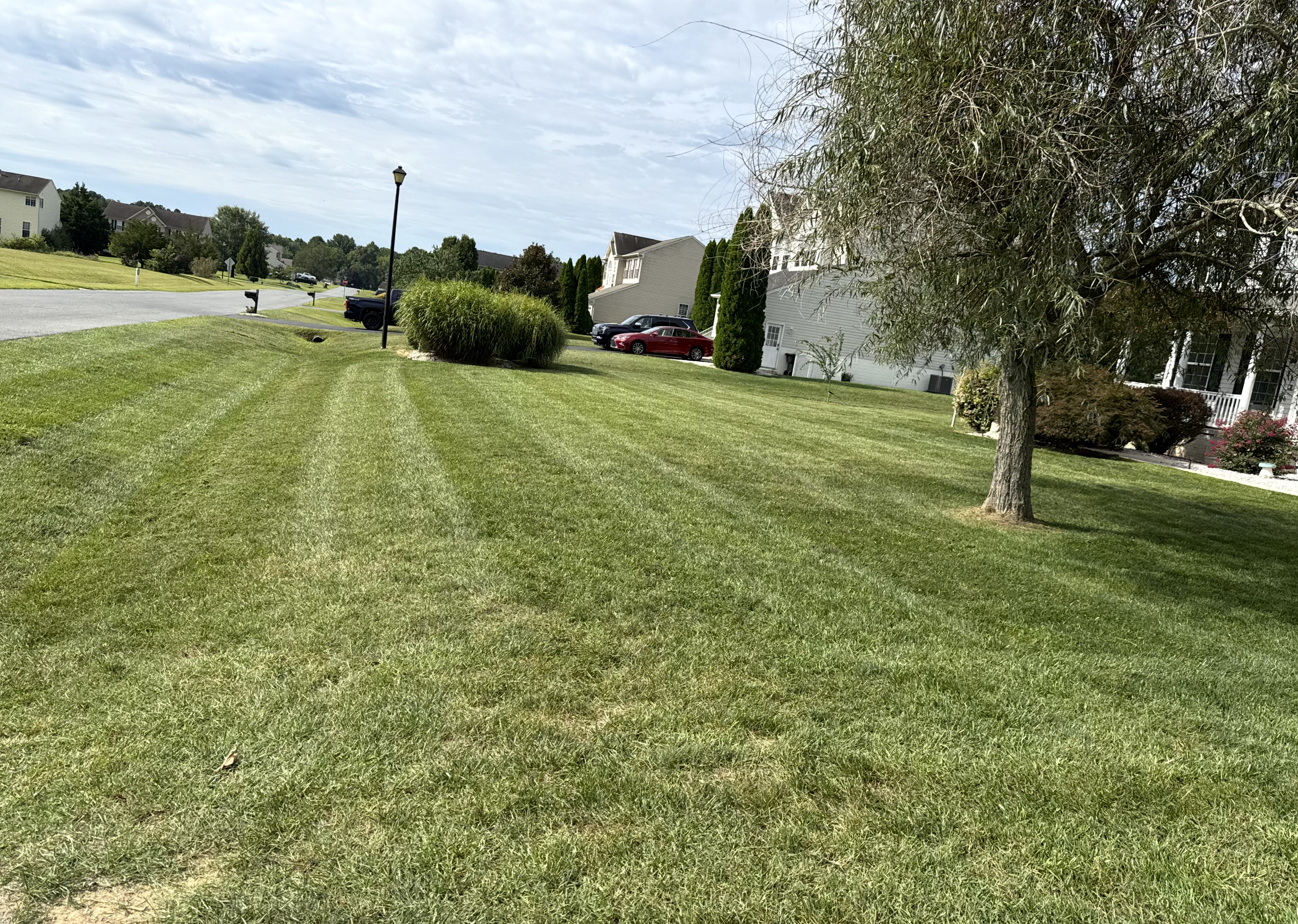 Residential lawn care and maintenance in Dover DE