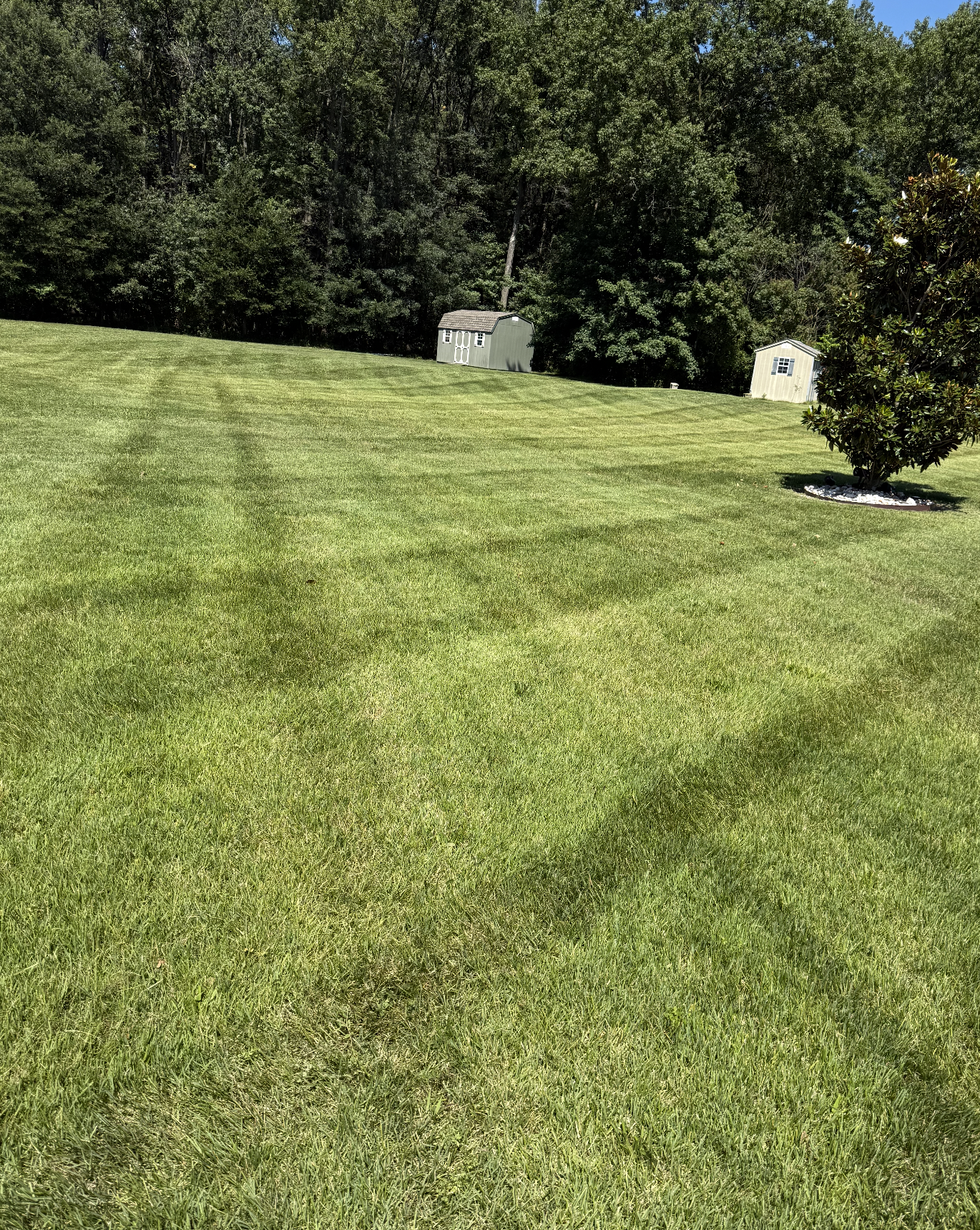 Large backyard mowing and lawn maintenance in Felton DE