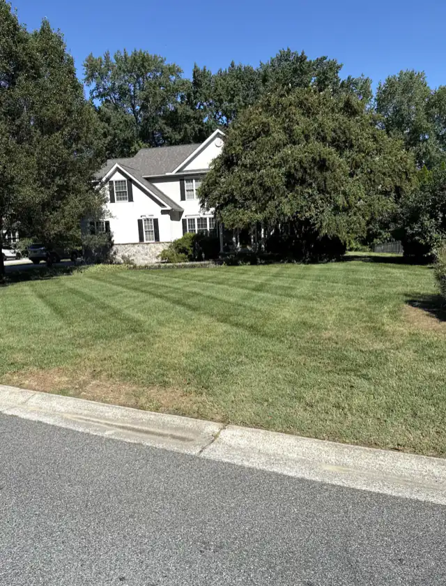 Professional front yard lawn care with clean mowing stripes in Delaware