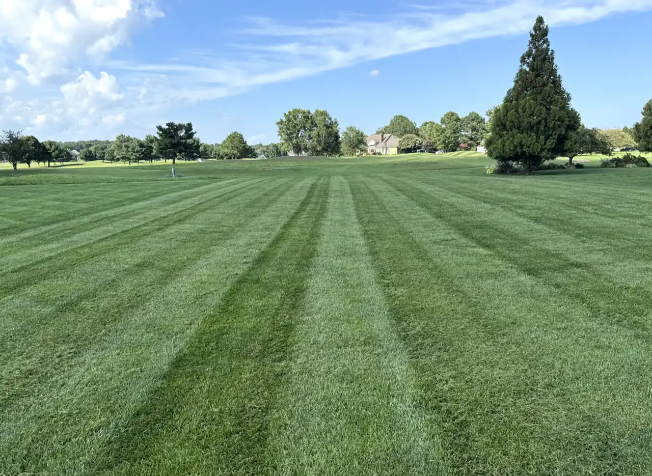 Freshly mowed lawn with professional mowing stripes by Grass Goats Lawn Care in Dover, Delaware